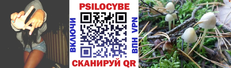 Галлюциногенные грибы мицелий закладки Краснотурьинск